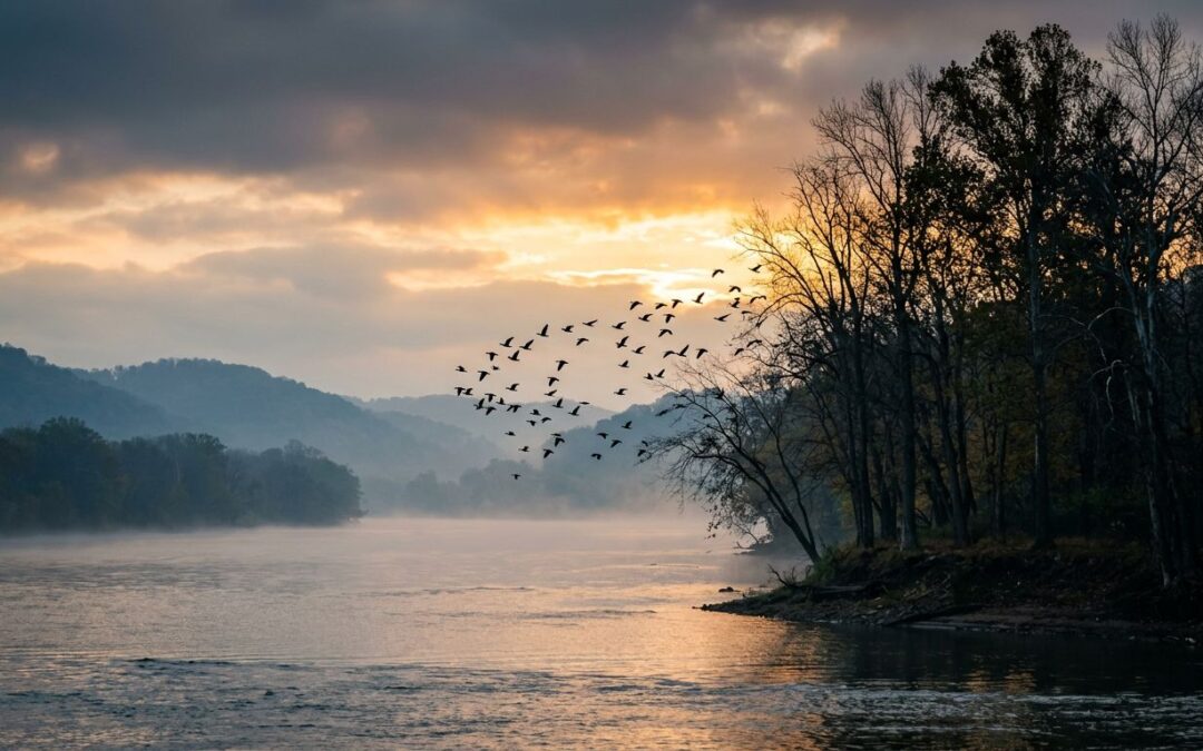 Best Birdwatching Spots in Northern Kentucky